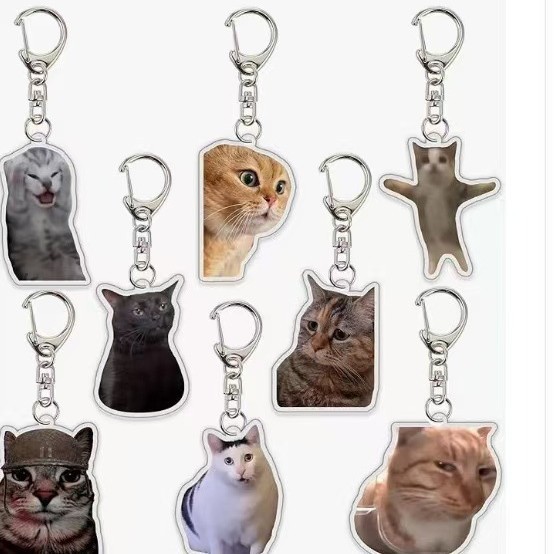Badminton Meme - Hotte stijl internet beroemdheid kattenkop expressie