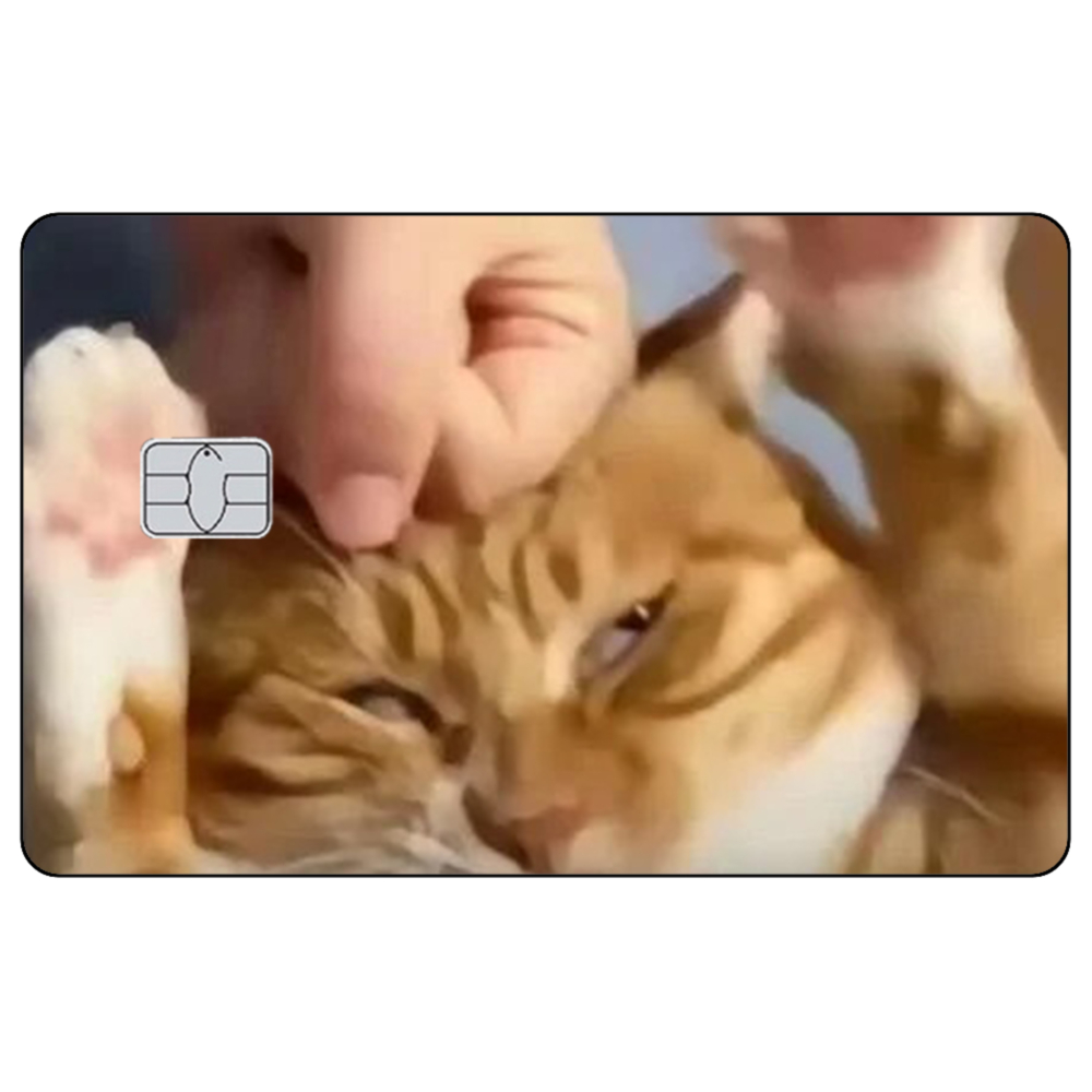 Schattige kattenmeme creditcar - Badminton Meme recensie en prijs
